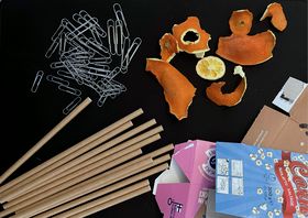 Kibble, Alexander_1_.jpg