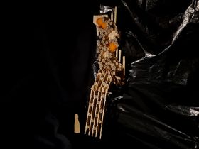 Turunen, Veera_2.jpg