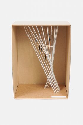 Alakärppä, Niila_t5