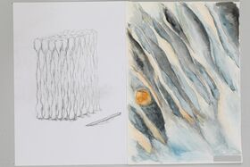 Kähkölä, Niilo_t1